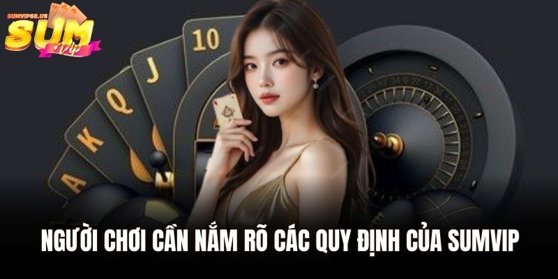 Điều Khoản Sử Dụng Sumvip | Cẩm Nang Quy Định Cho Người Chơi 2 Người chơi cần nắm rõ các quy định của Sumvip