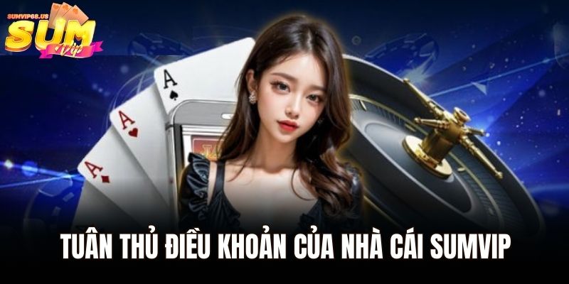 Tuân thủ điều khoản của nhà cái Sumvip