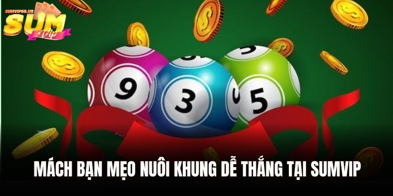 Nuôi Lô Khung - Cách Chơi Chi Tiết Cho Tân Thủ Tại Sumvip 3 Mách bạn mẹo nuôi khung dễ thắng tại Sumvip