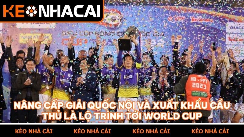 Lộ trình bài bản của đội tuyển là cơ sở để người chơi đặt niềm tin lớn